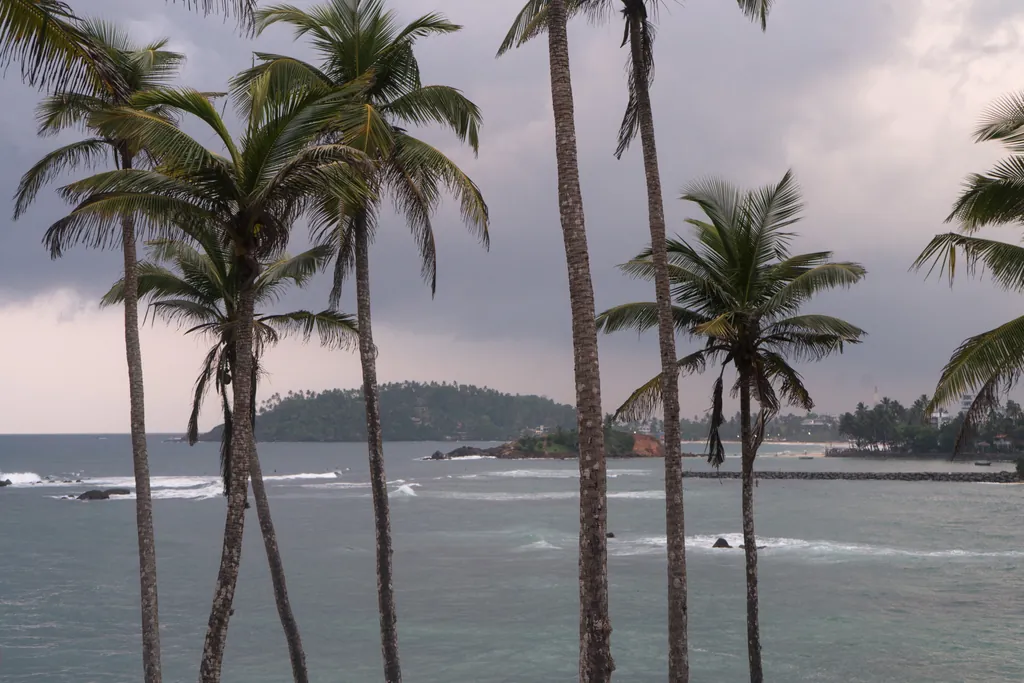 The coconut palms of Coconut Tree Hill above the sea at Mirissa