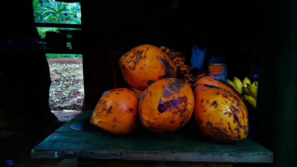 A pile of bright orange king coconuts, sold by the roadside for drinking