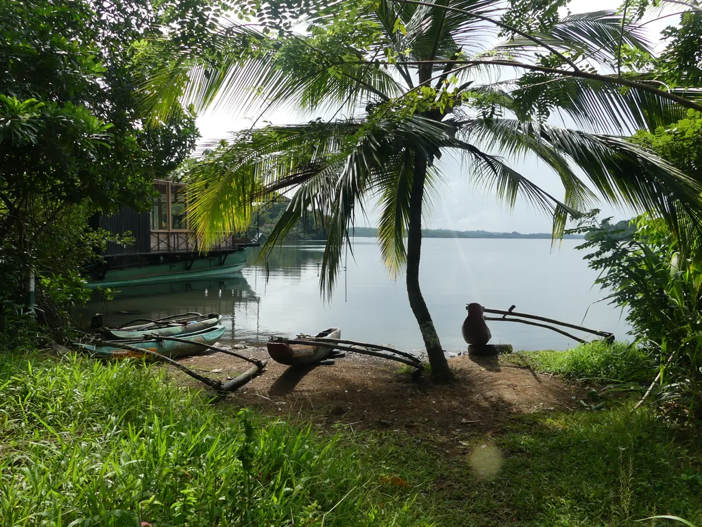 The still, island-dotted water of Koggala Lake inland from Ahangama