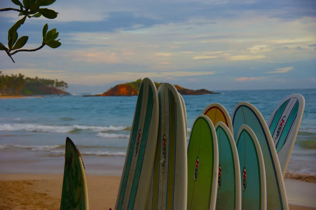 Surfboards lined up on the sand at Mirissa, ready for hire
